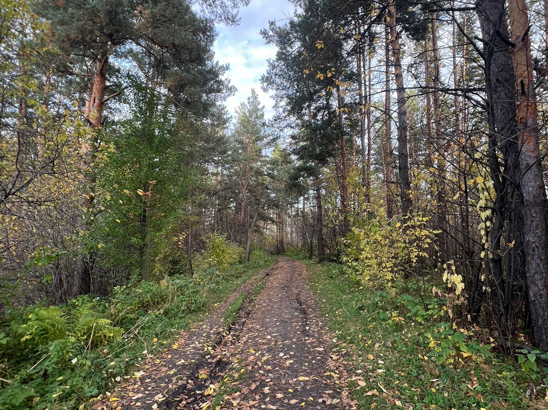 Komsomolskaya Mountain-Gorno-Altaysk必去景点