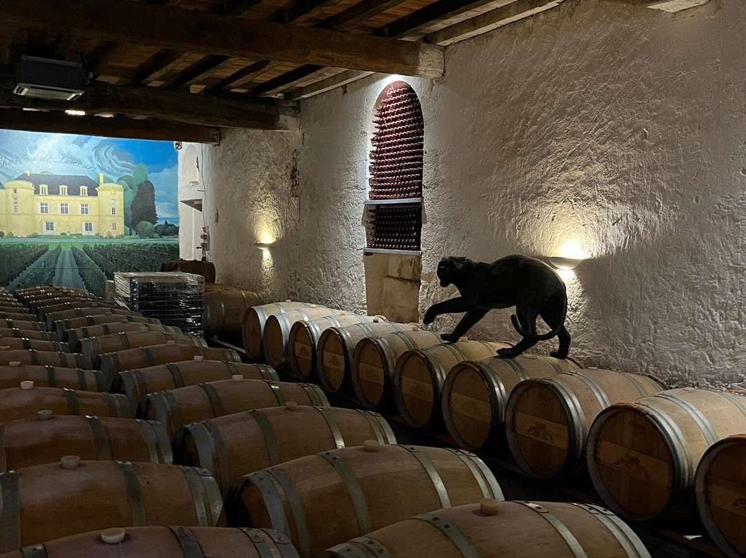 Chateau de Lescours-Saint-Sulpice-de-Faleyrens必去景点