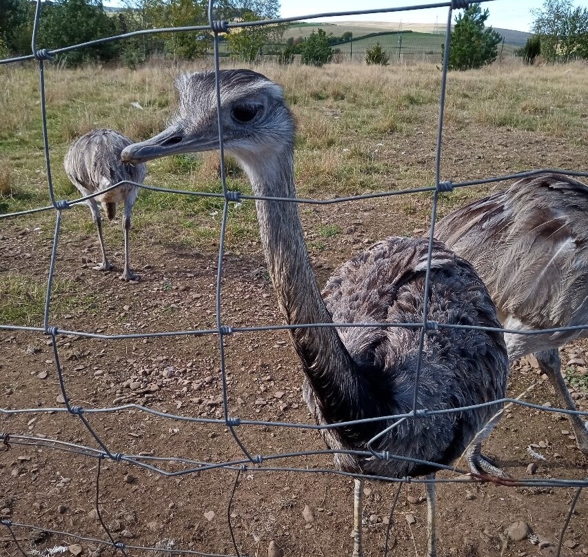Bird Gardens Scotland Cic-Oxton必去景点
