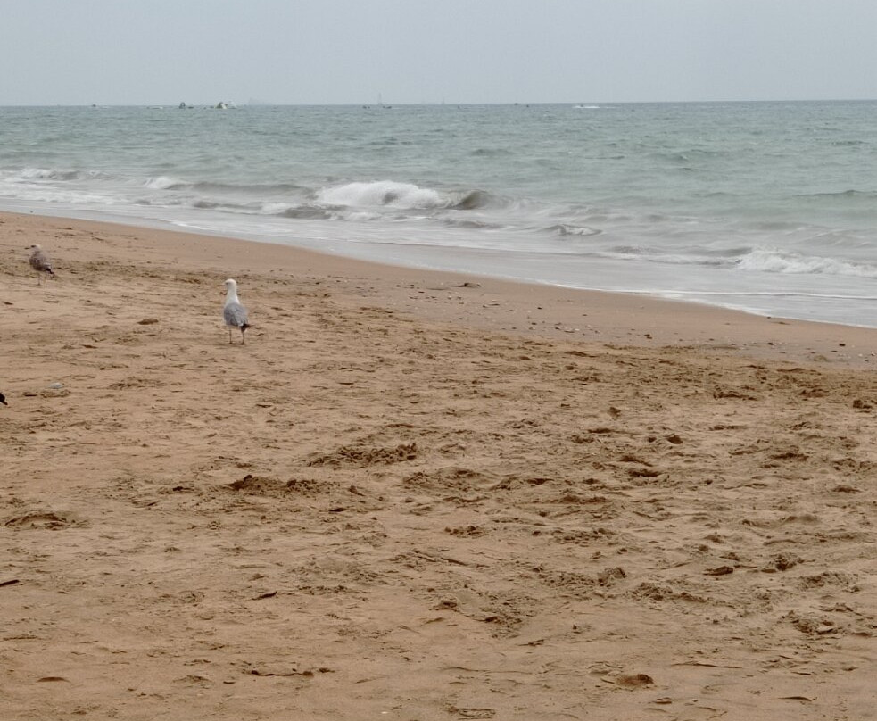 Playa de los Enebrales-韦尔瓦必去景点
