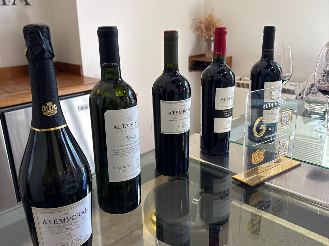 Bodega Alta Vista-路冉得库约必去景点