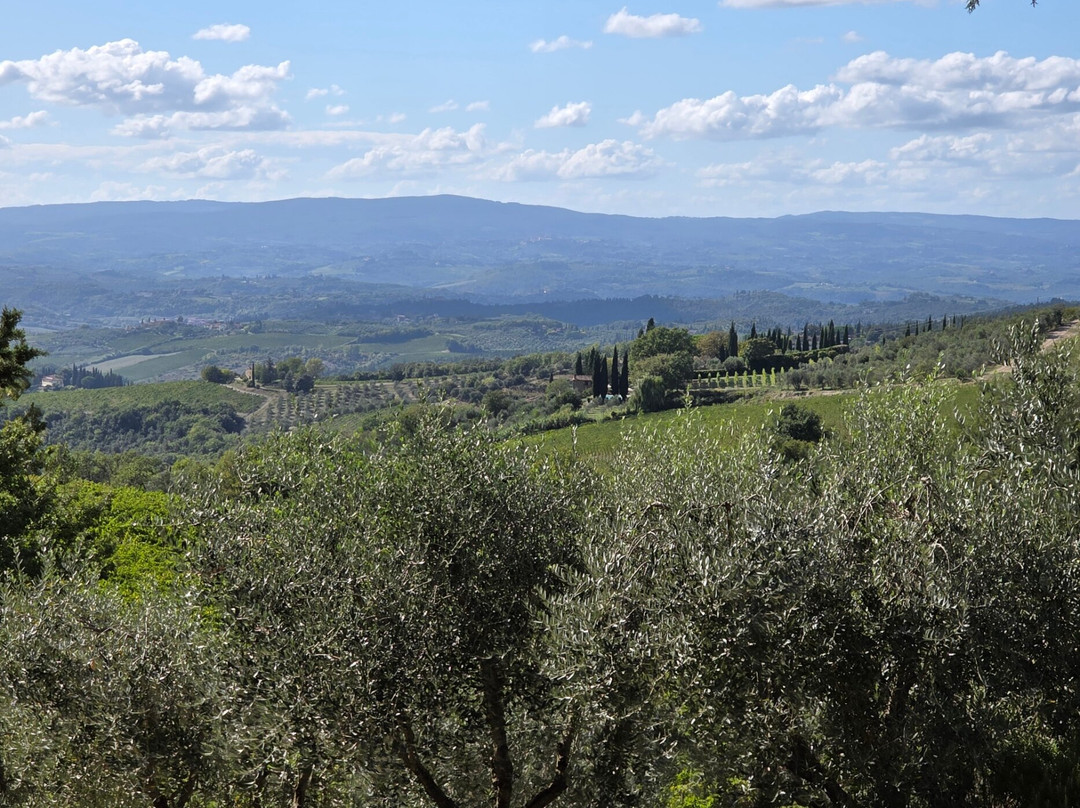 Castellare di Castellina-卡斯特利纳－因基安蒂必去景点