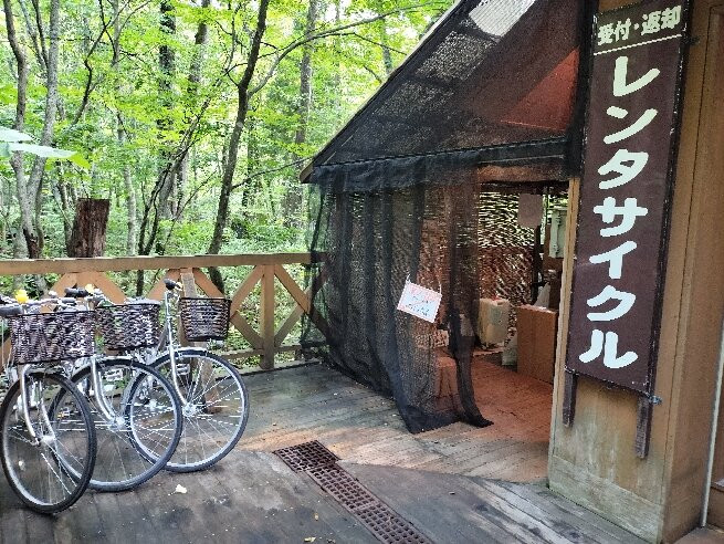 奥入濑溪流-青森县必去景点