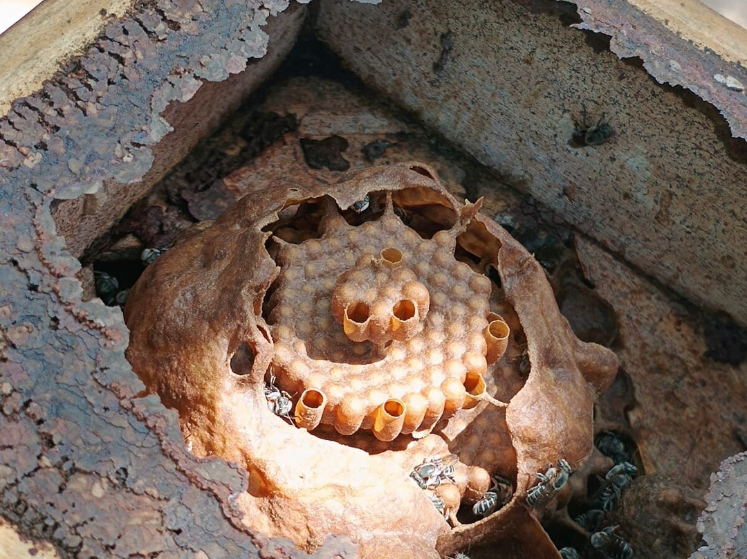 Nazareth Eco Hotel主图