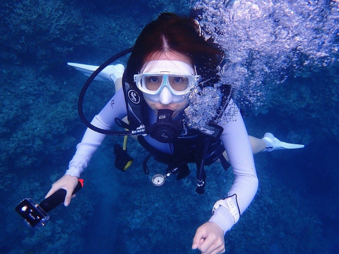 Blue Corner Dive Menjangan-西巴厘岛国家公园必去景点