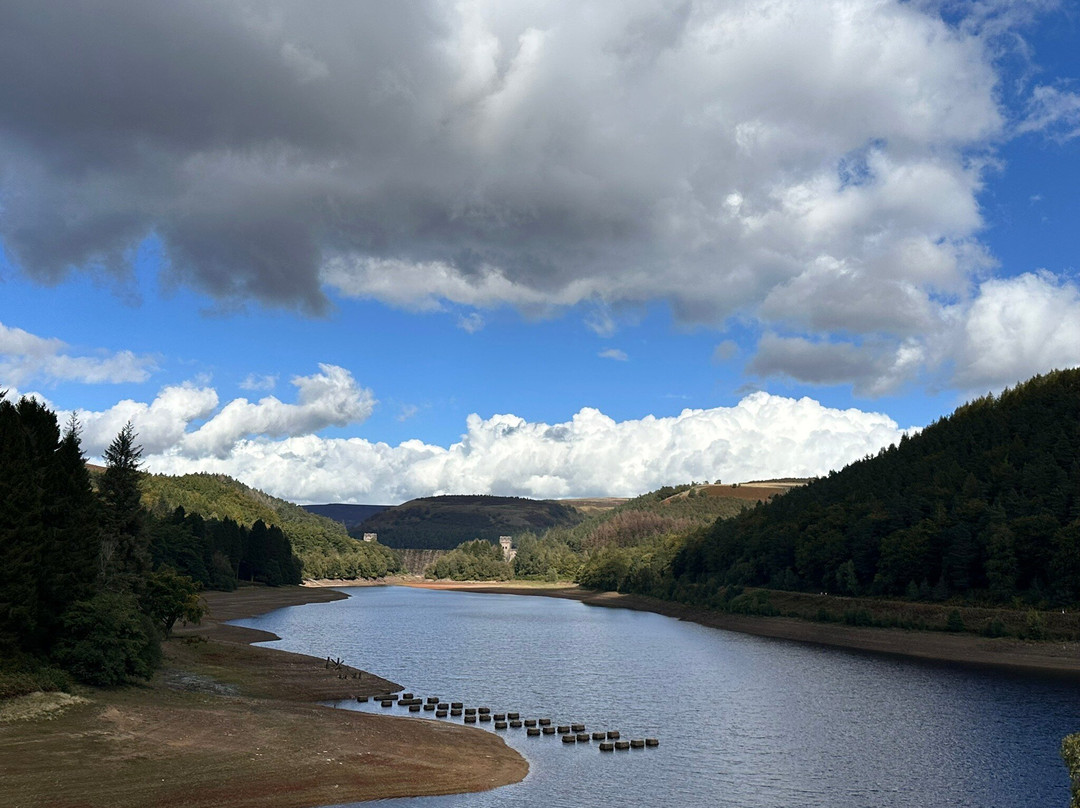 Bike Garage-Bamford必去景点
