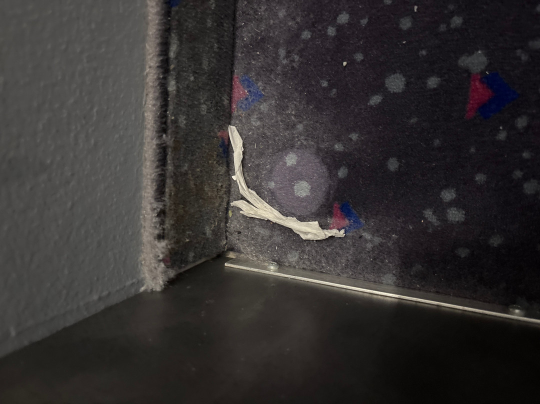 斯堪的纳维亚卡宾酒店主图