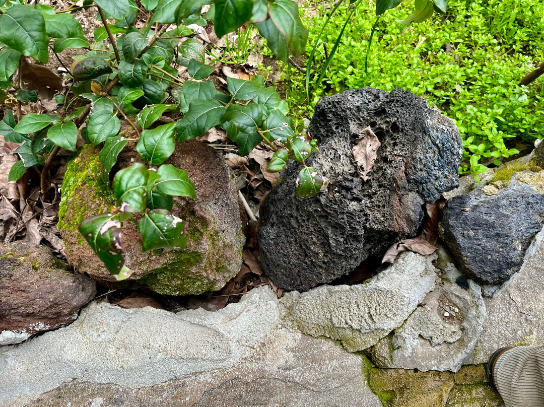 Zabun Hocanın Yeri-Manisa必去景点