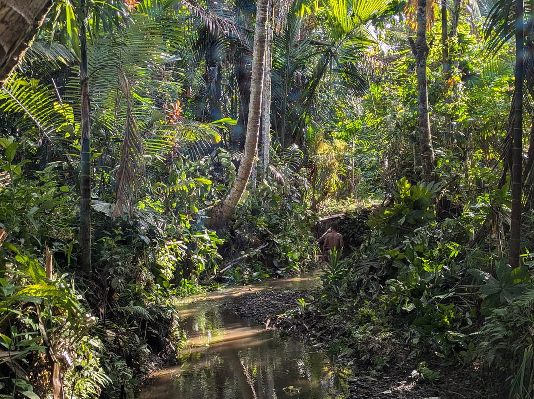 Tierra Ignota-比戈必去景点
