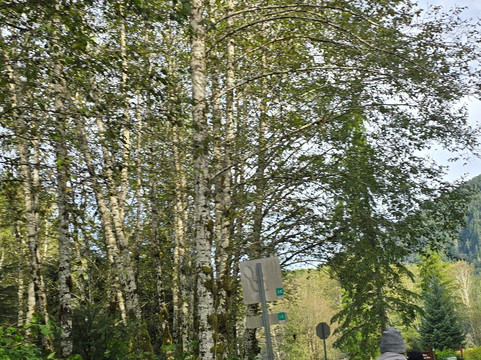 Sitka Bike & Hike-锡特卡必去景点