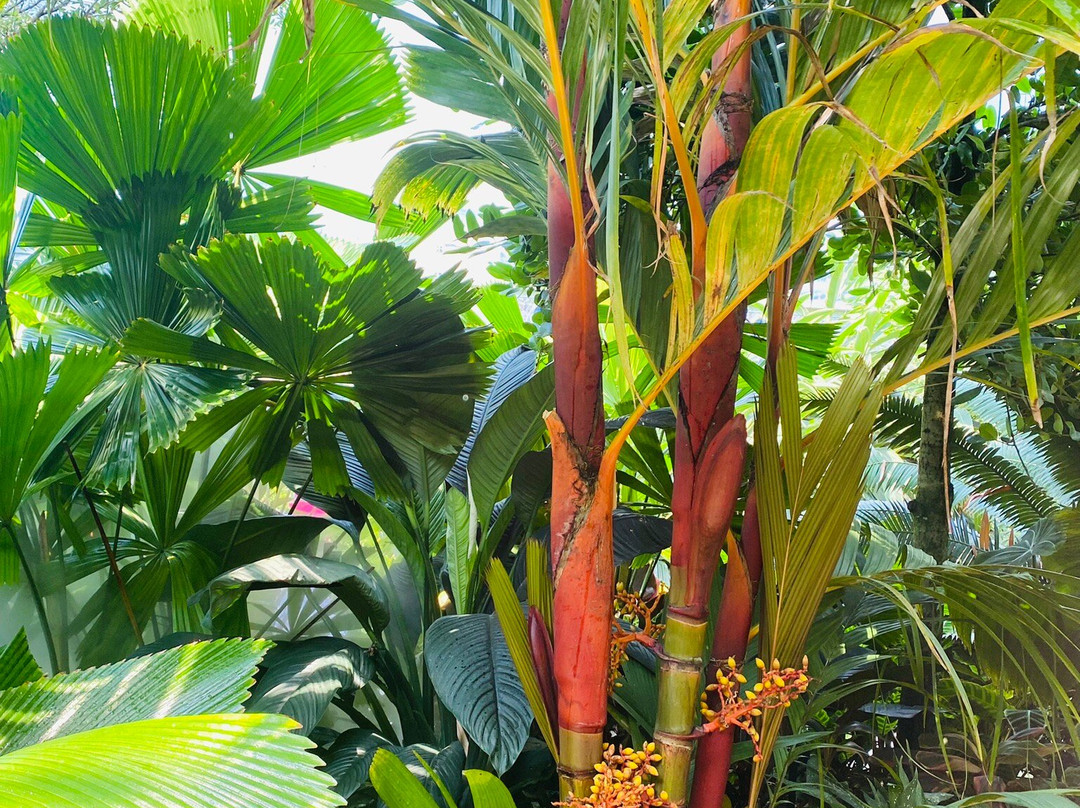 The Leaf-温尼伯必去景点