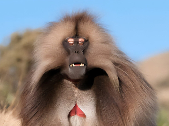 Simien National Park 3 Days Tour