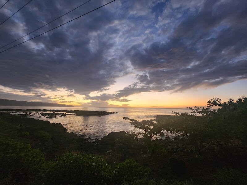 Shark's Cove-哈雷瓦必去景点