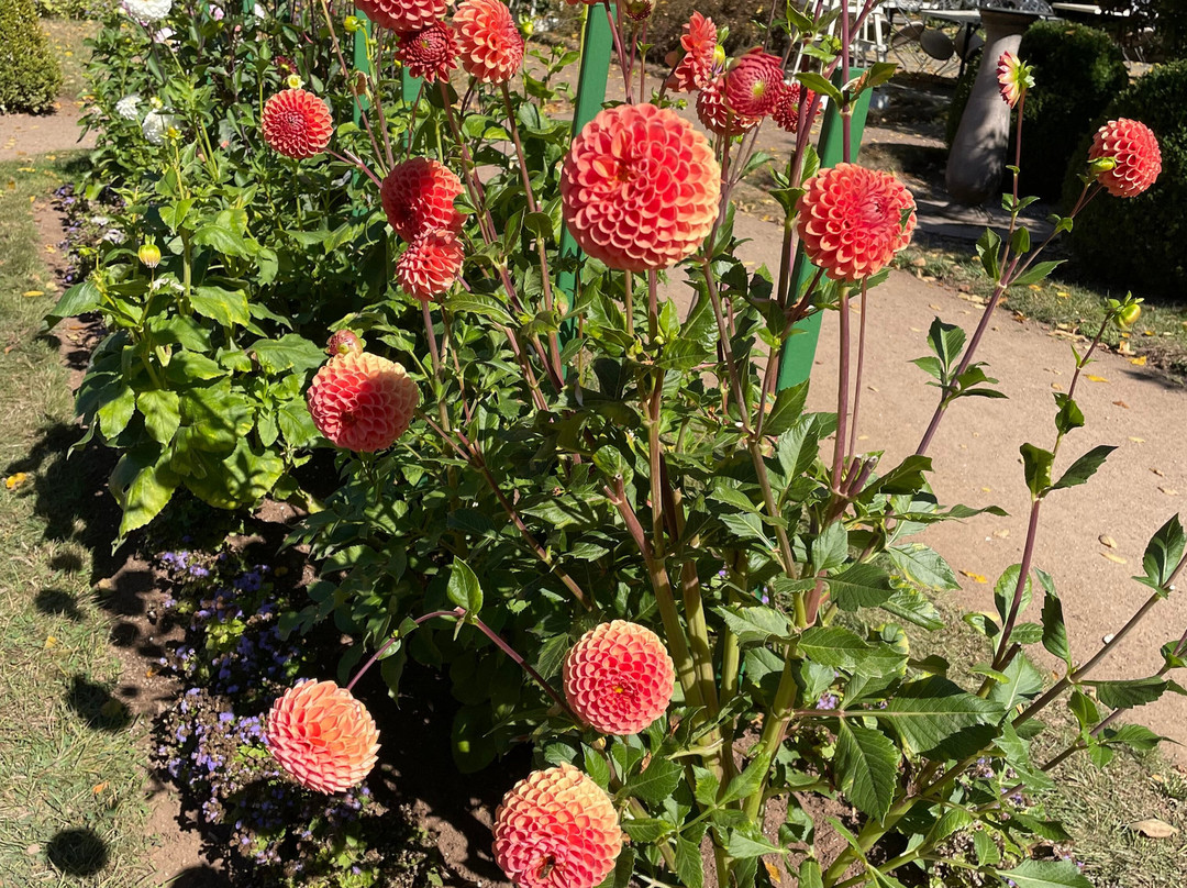 Annapolis Royal Historic Gardens-安纳波利斯罗亚尔必去景点