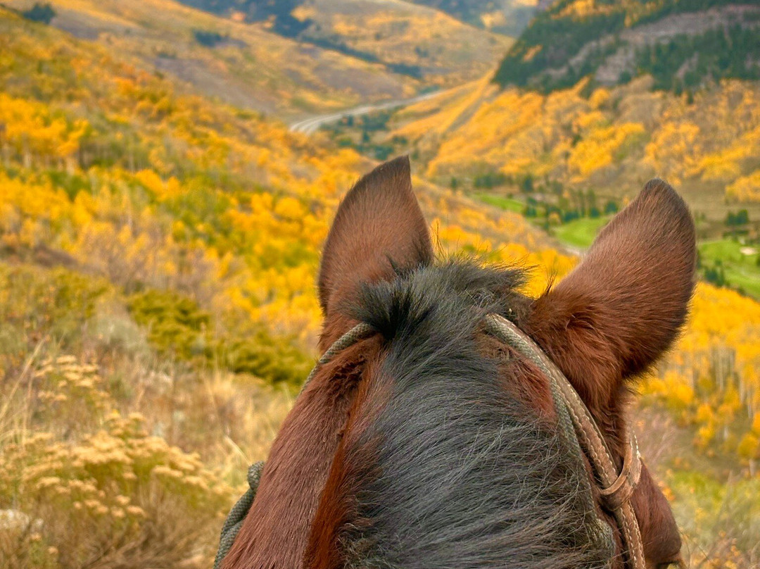 Vail Stables-韦尔必去景点