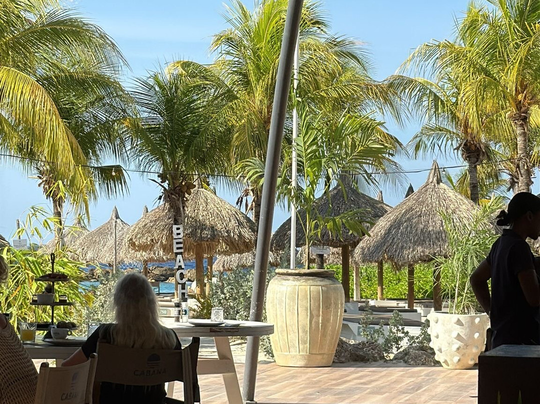 Cabana Beach-库拉索必去景点