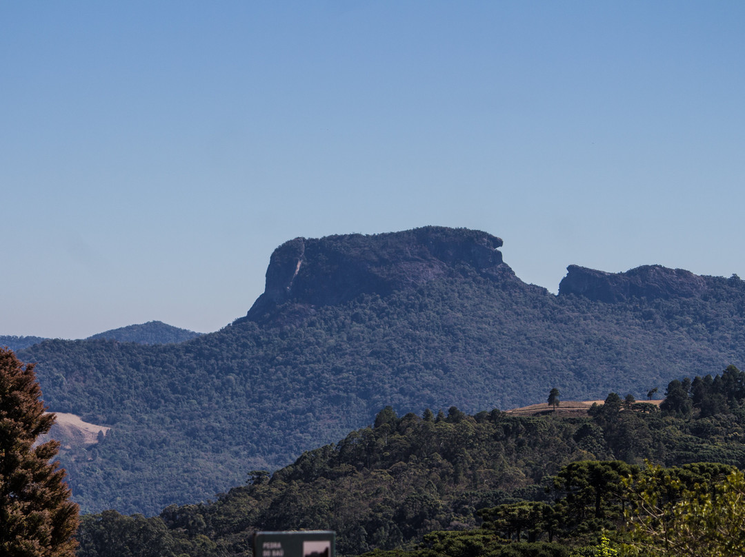 Museu Felícia Leirner-坎普斯－杜若尔当必去景点