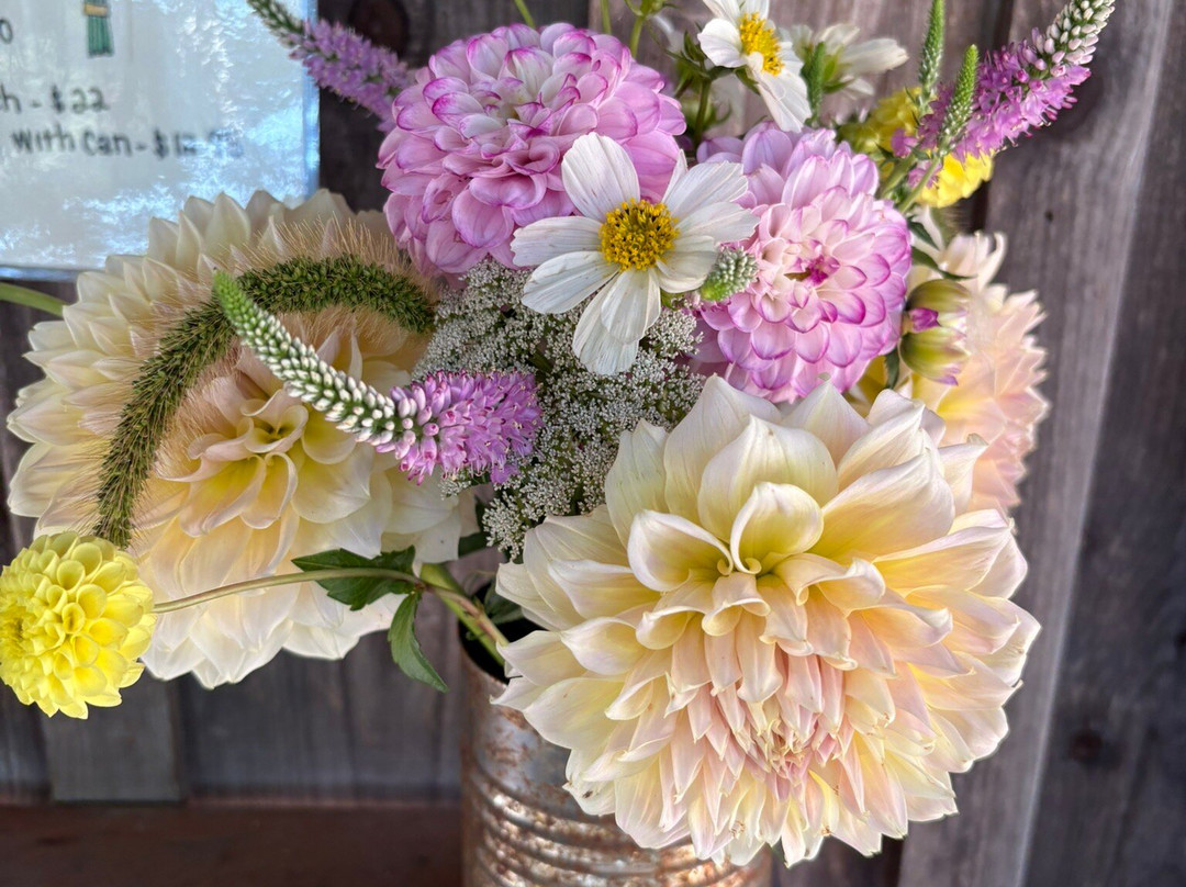 Morning Glory Farm-Edgartown必去景点