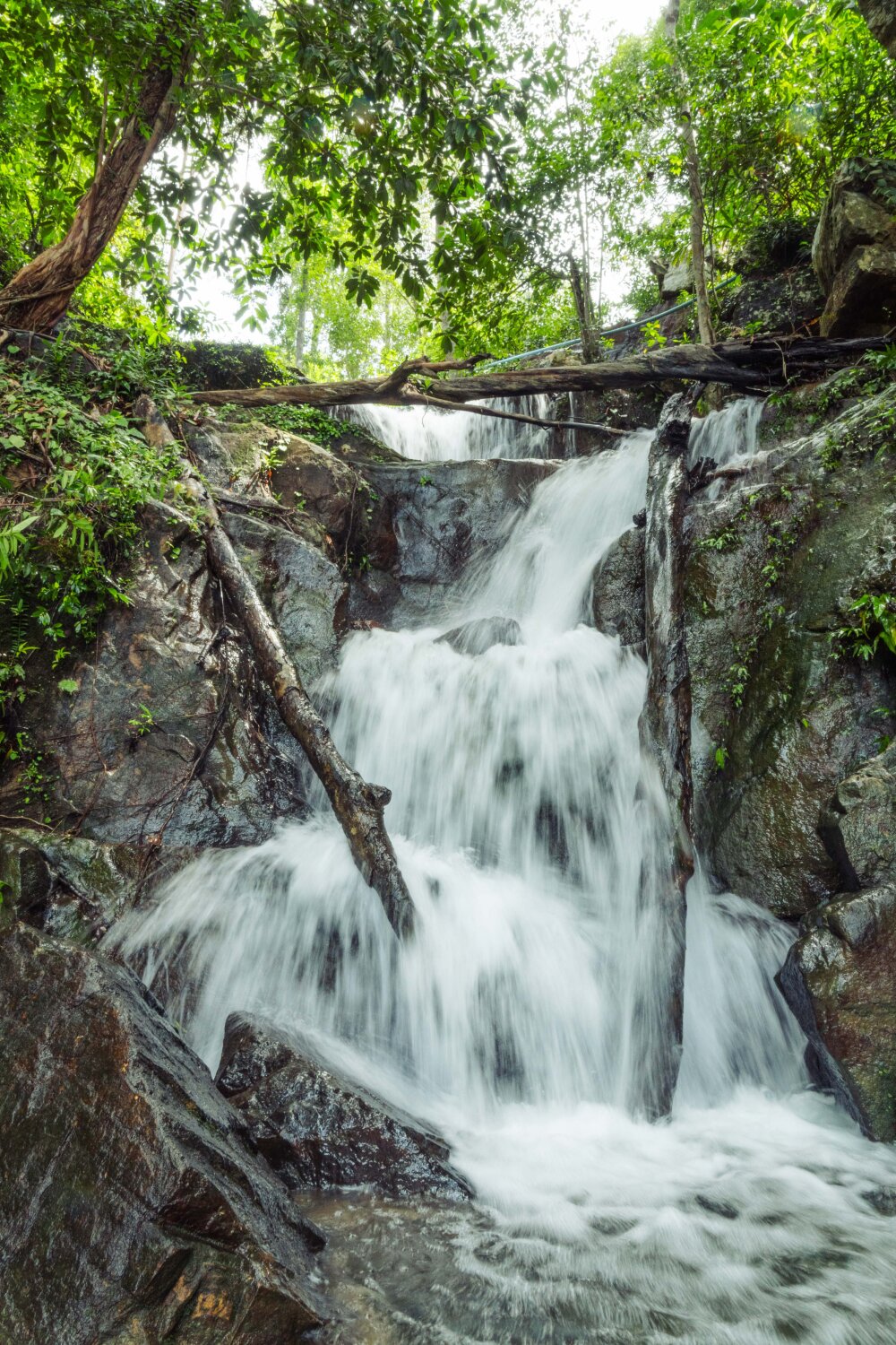 Island Center Point-官方