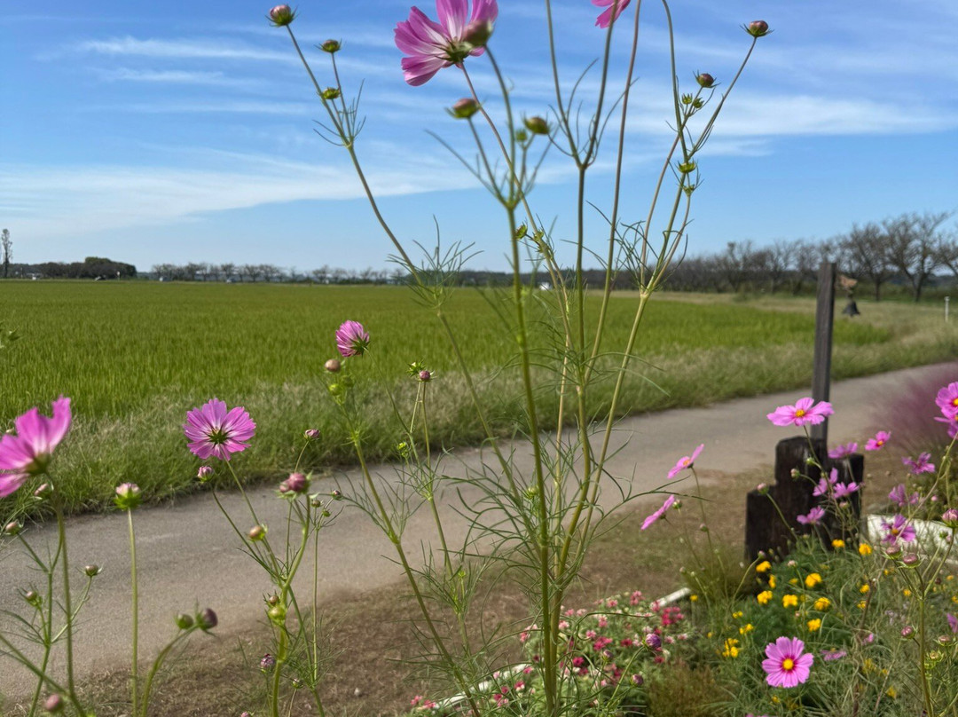 Sakura Furusato Square-佐仓市必去景点