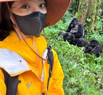 Gorilla specialist-坎帕拉必去景点