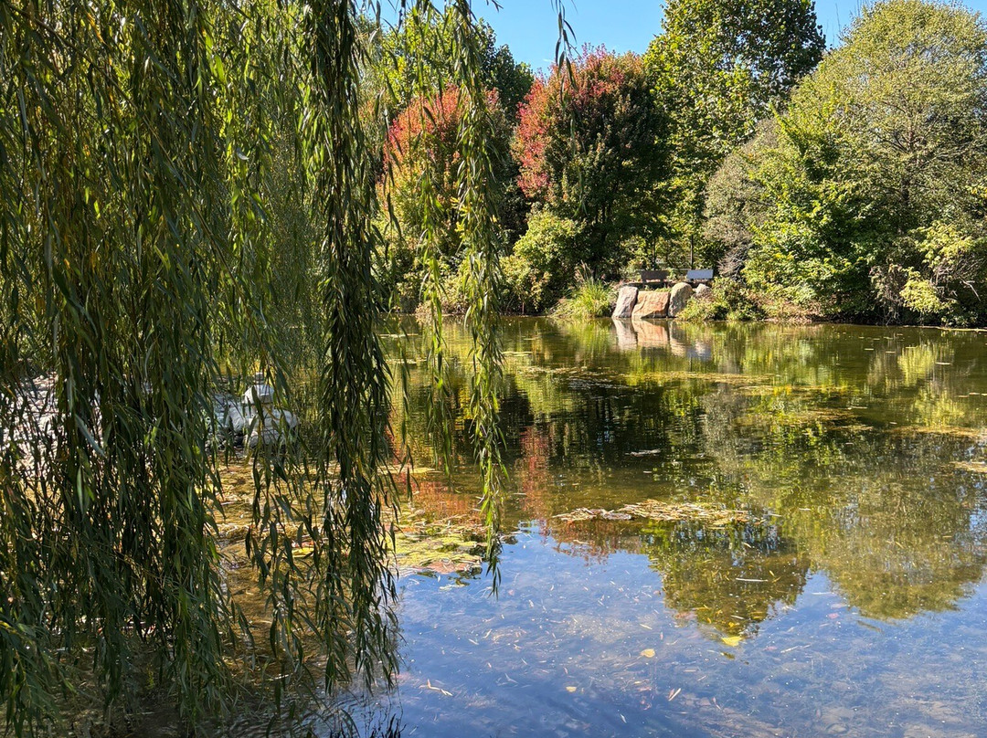 Wellfield Botanic Gardens-埃尔克哈特必去景点
