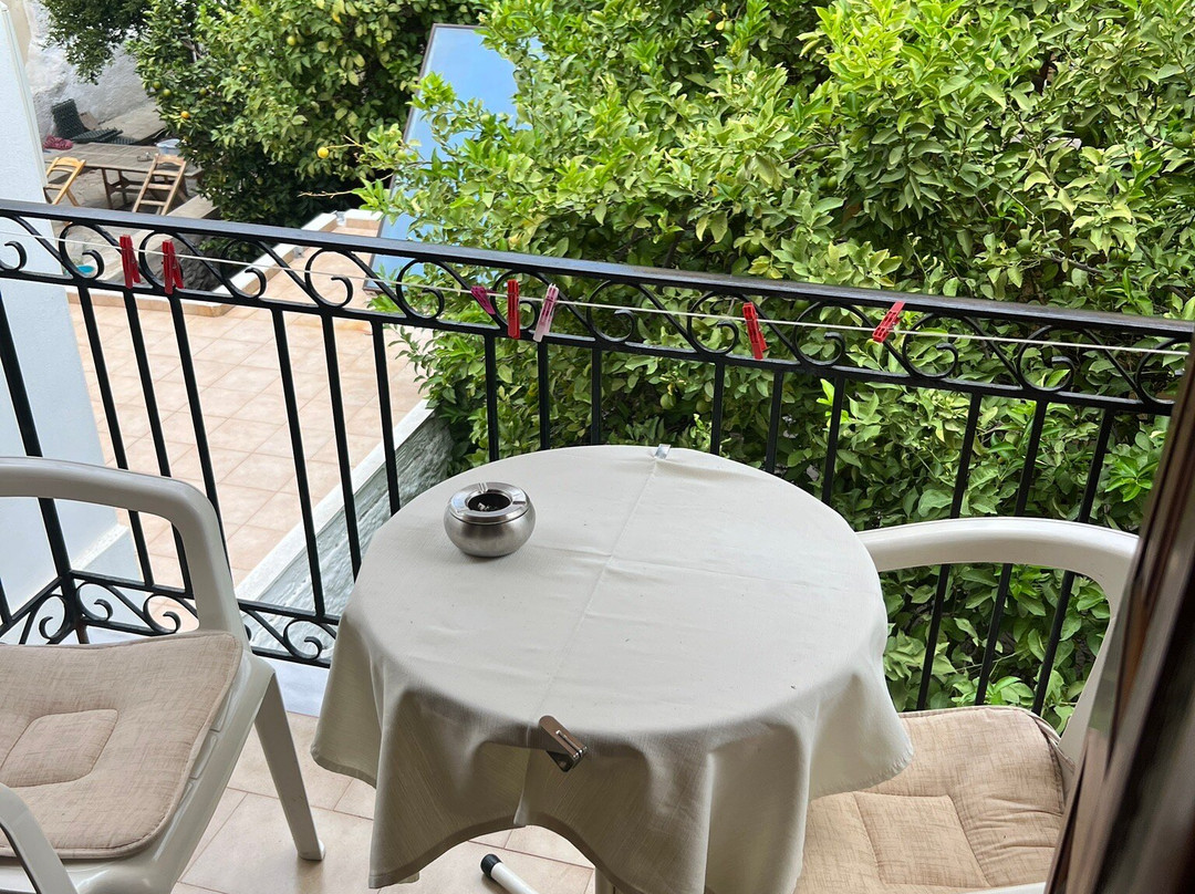 Sunshine Pension主图