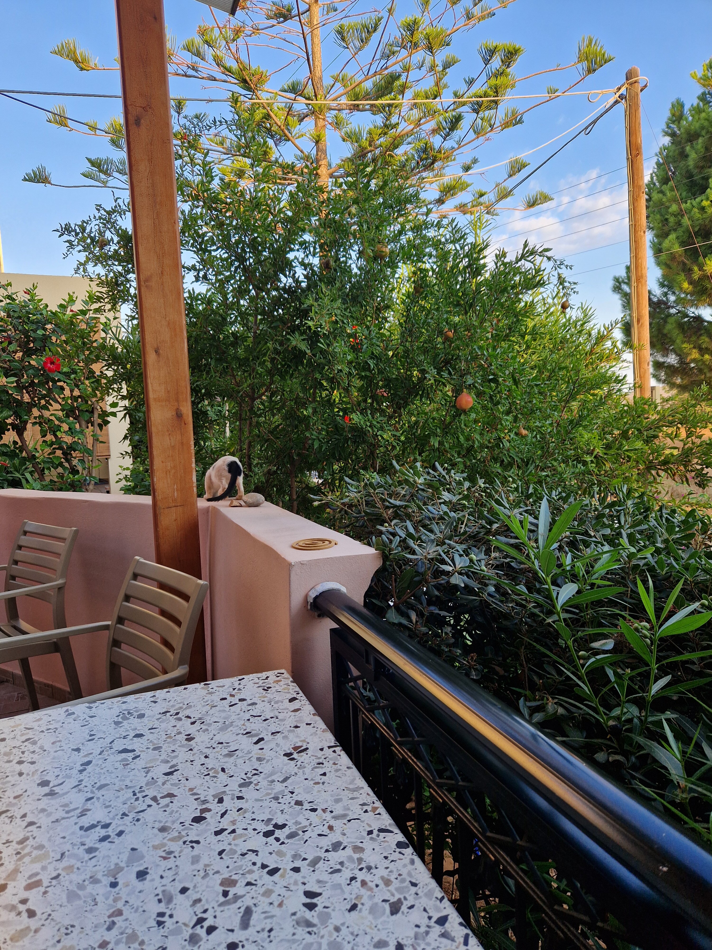 Melina's House-官方