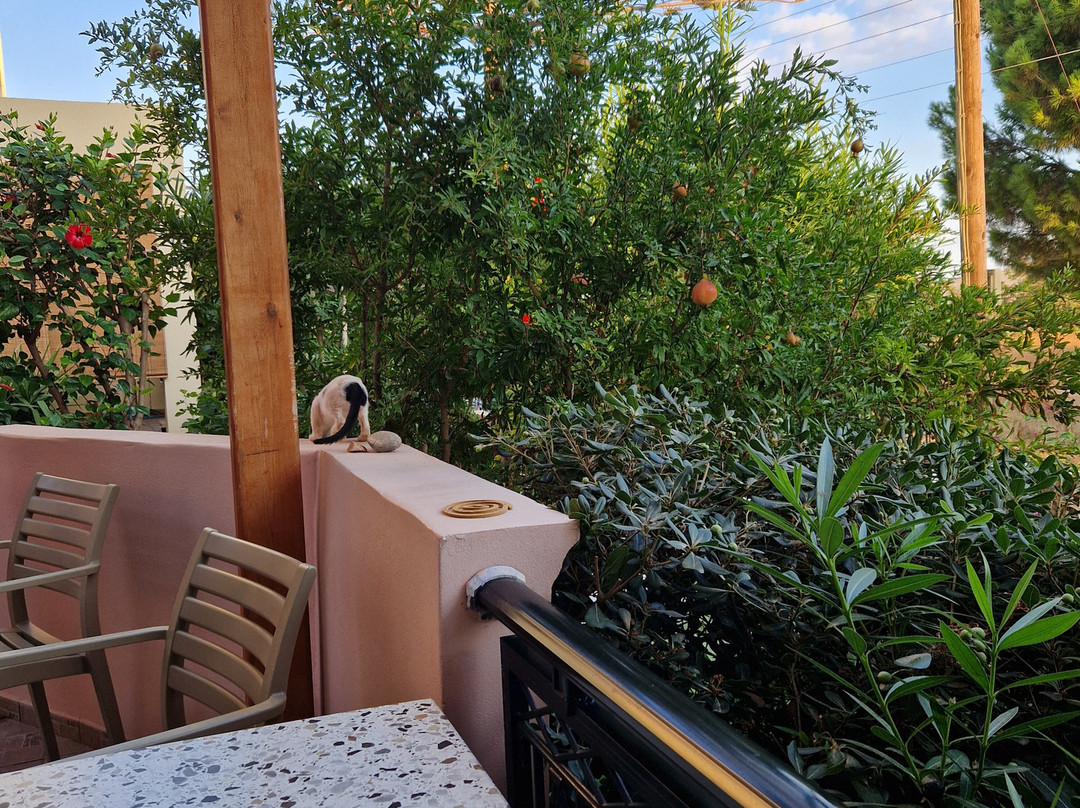 Melina's House主图