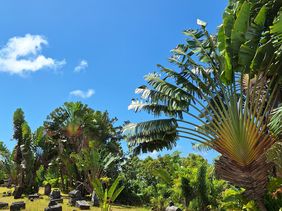 Pirate Cemetery on Nosy Boraha-Nosy Boraha必去景点