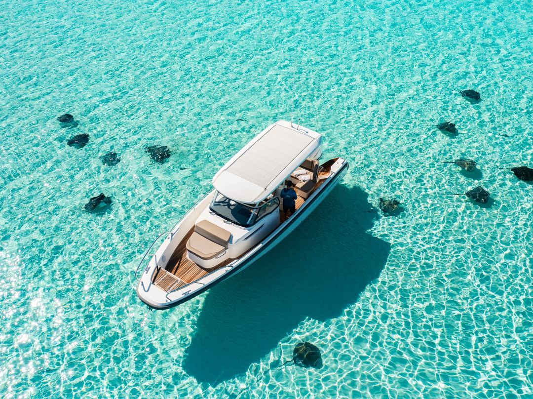 Next Level Charters Cayman-Camana Bay必去景点