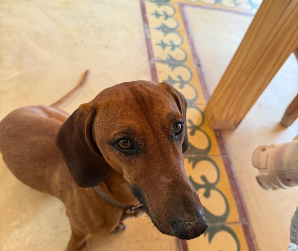 Bodega De Angeles Viña 1924-路冉得库约必去景点