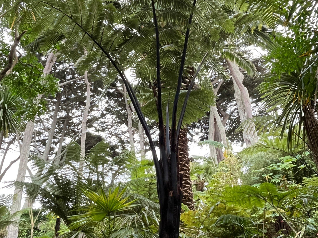 Jardin Georges Delaselle-Ile-de-Batz必去景点