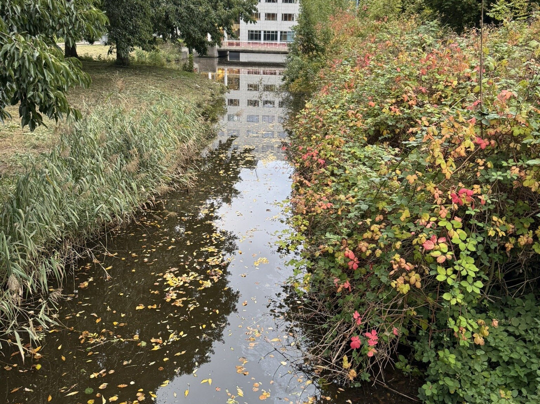 Kinderboerderij De Boerenzwaluw-霍夫多普必去景点