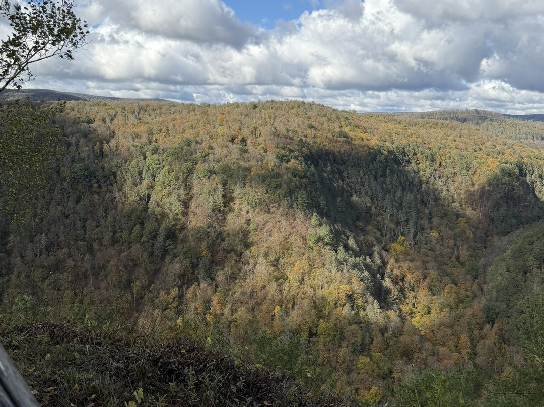Pennsylvania Grand Canyon-Wellsboro必去景点