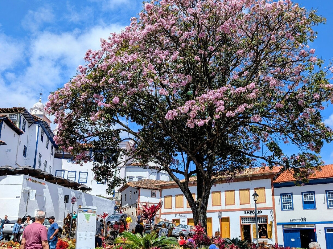Mercado Municipal (dos Tropeiros)-蒂阿曼蒂那城必去景点
