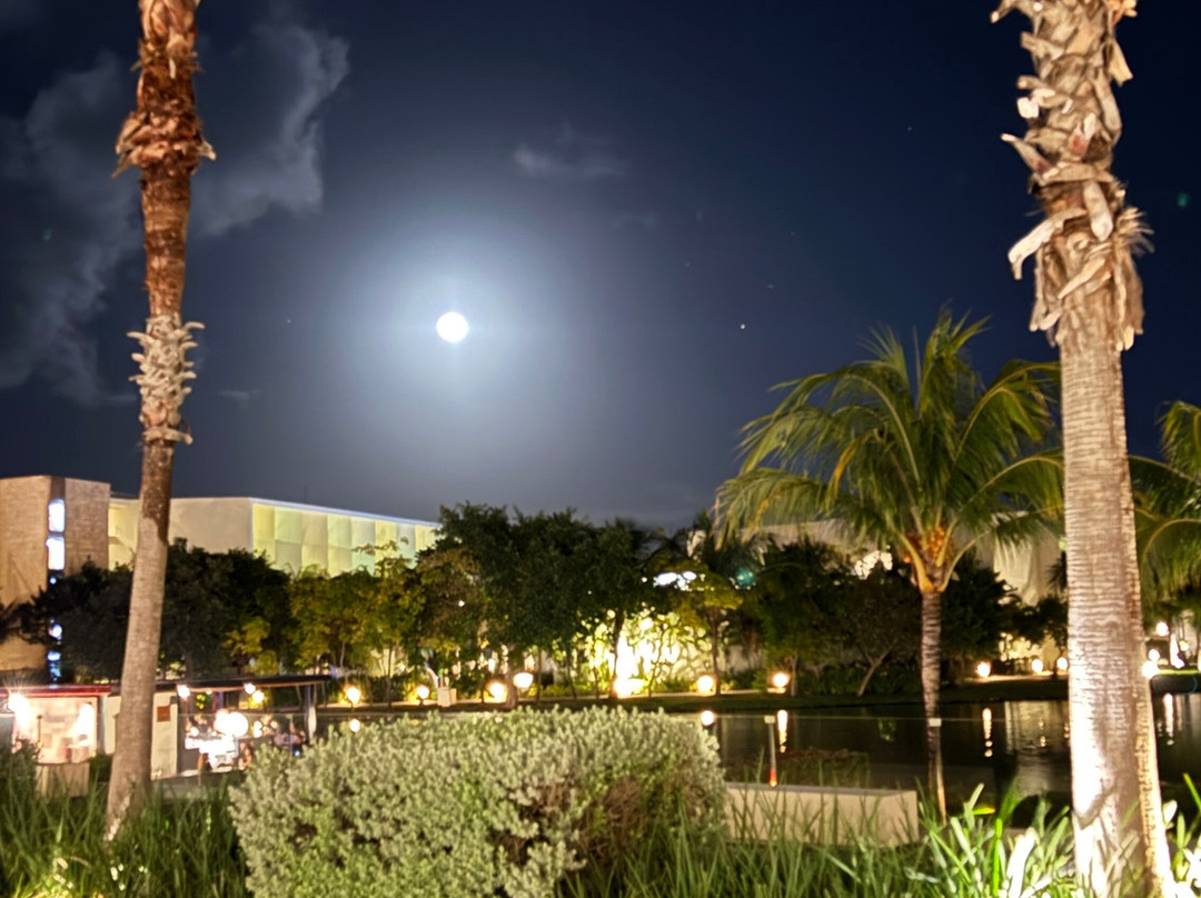 Family Selection at Grand Palladium Select Costa Mujeres主图