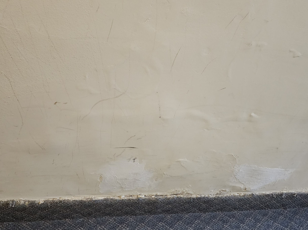 Hotel Carlos V主图