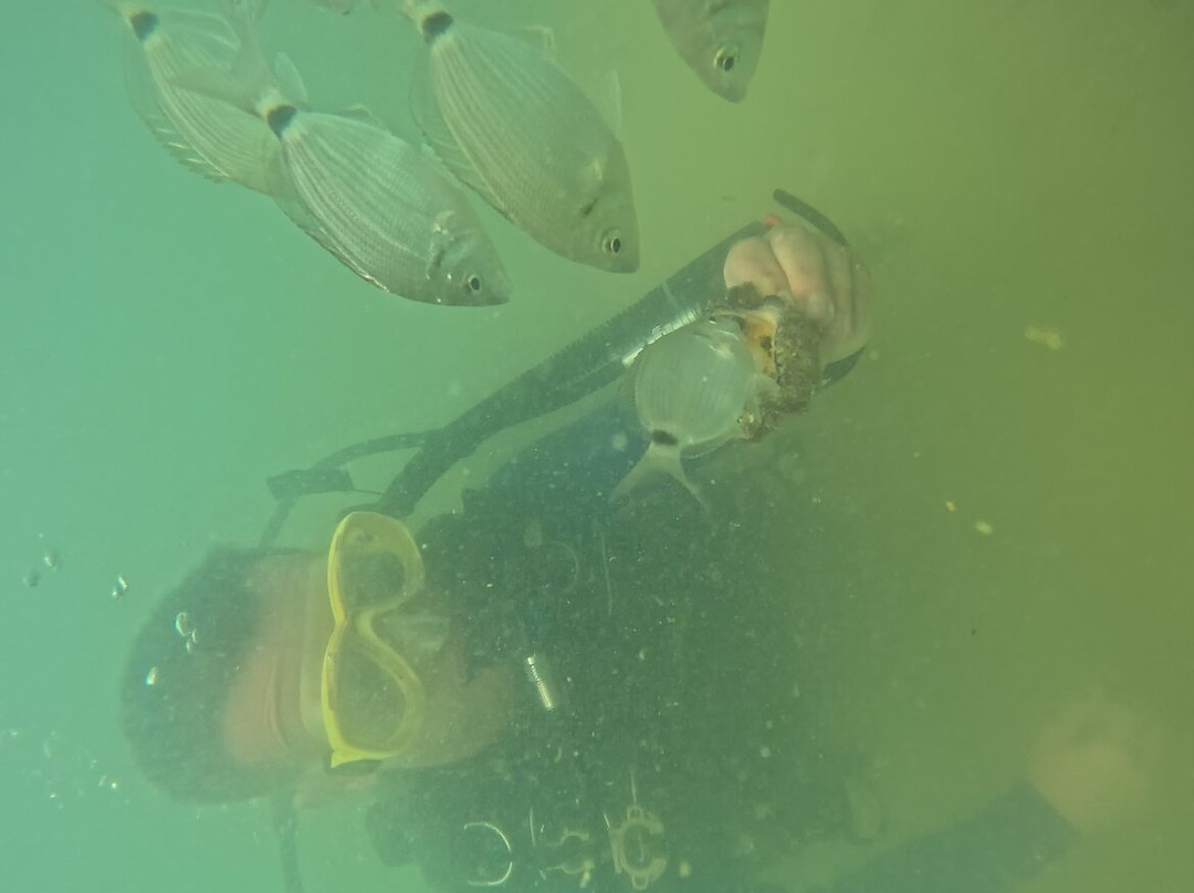 DAKHLA DIVING CLUB-达赫拉必去景点