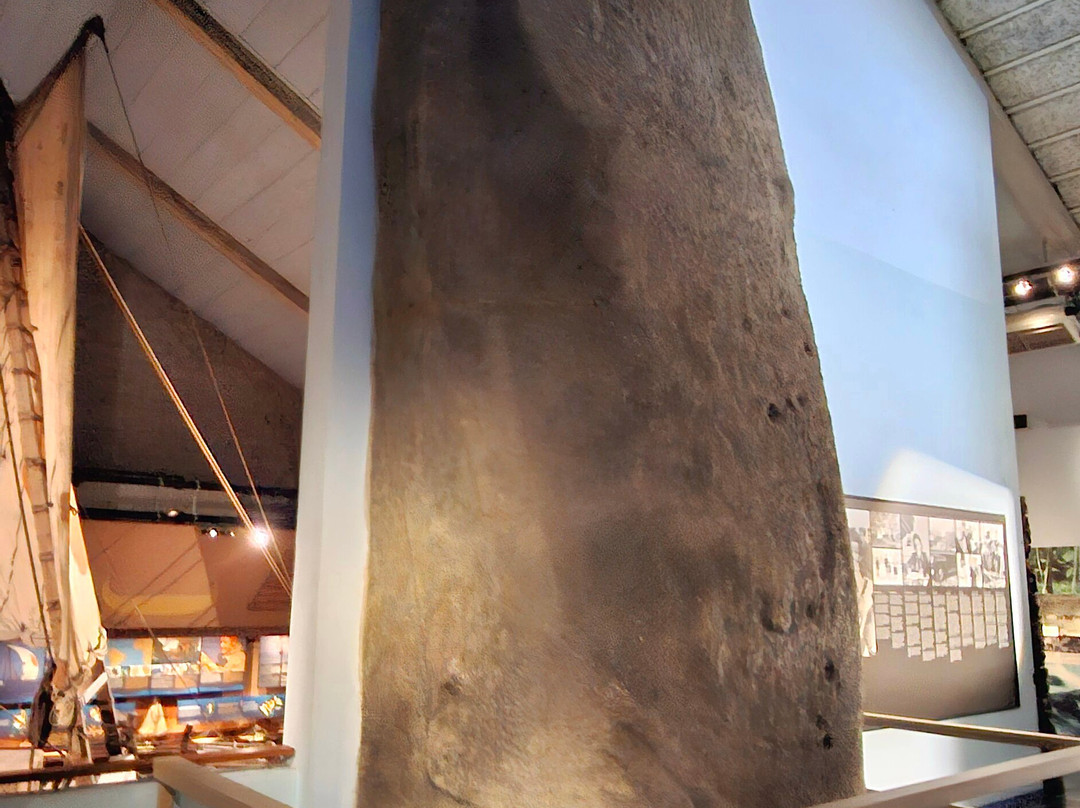 The Kon-Tiki Museum-奥斯陆必去景点