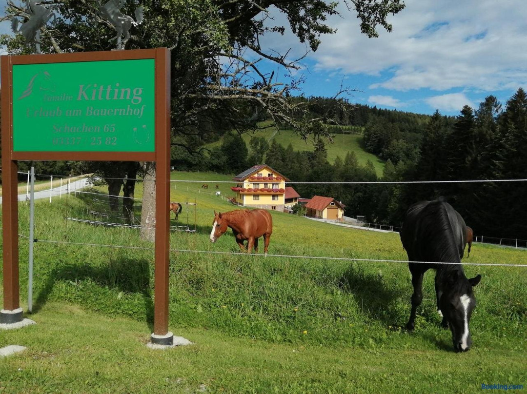 Urlaub Am Bauernhof Familie Kitting