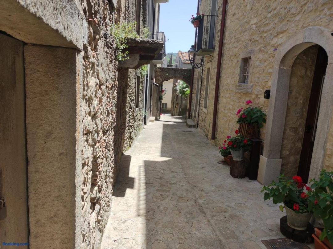B&B Villa Argimusco