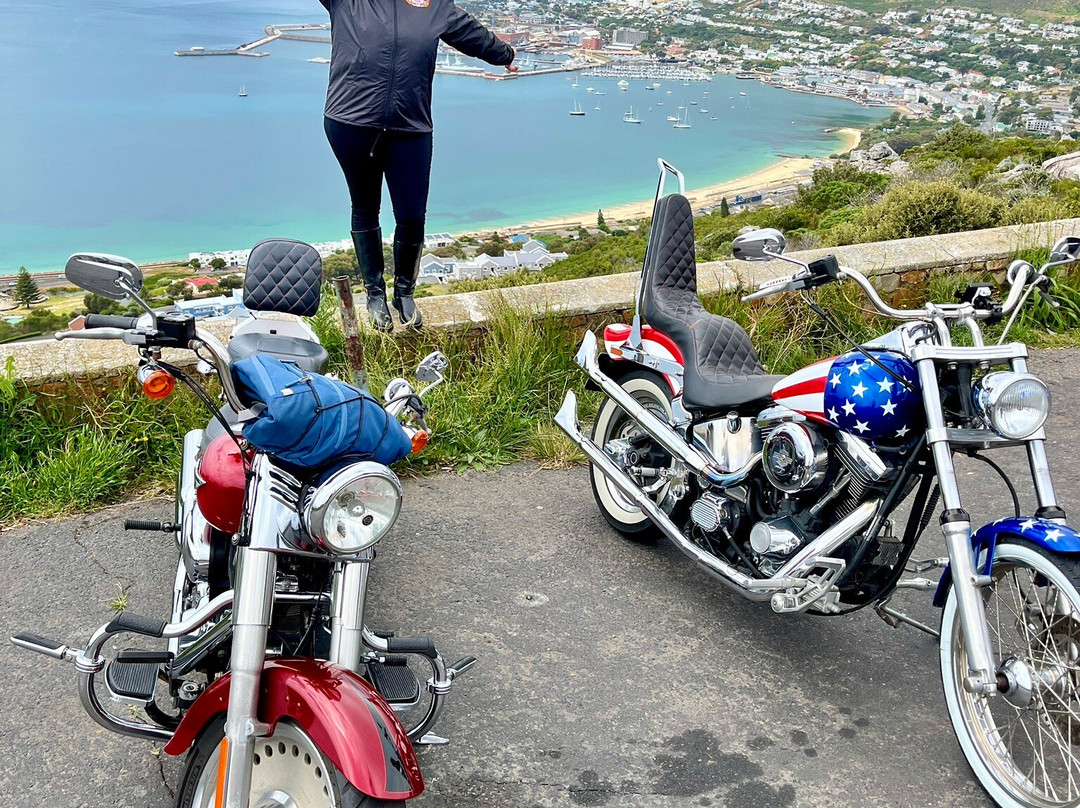 Cape Corporate Tours-开普敦中心区必去景点