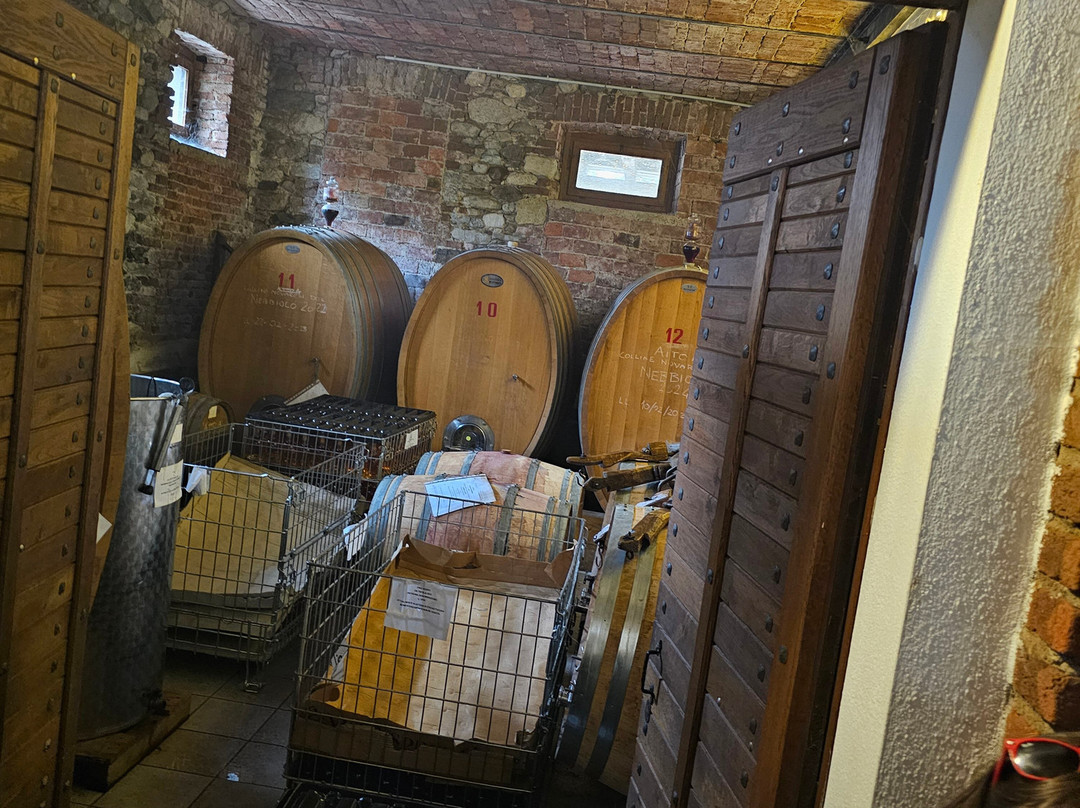 Cantina Fontechiara-Borgomanero必去景点