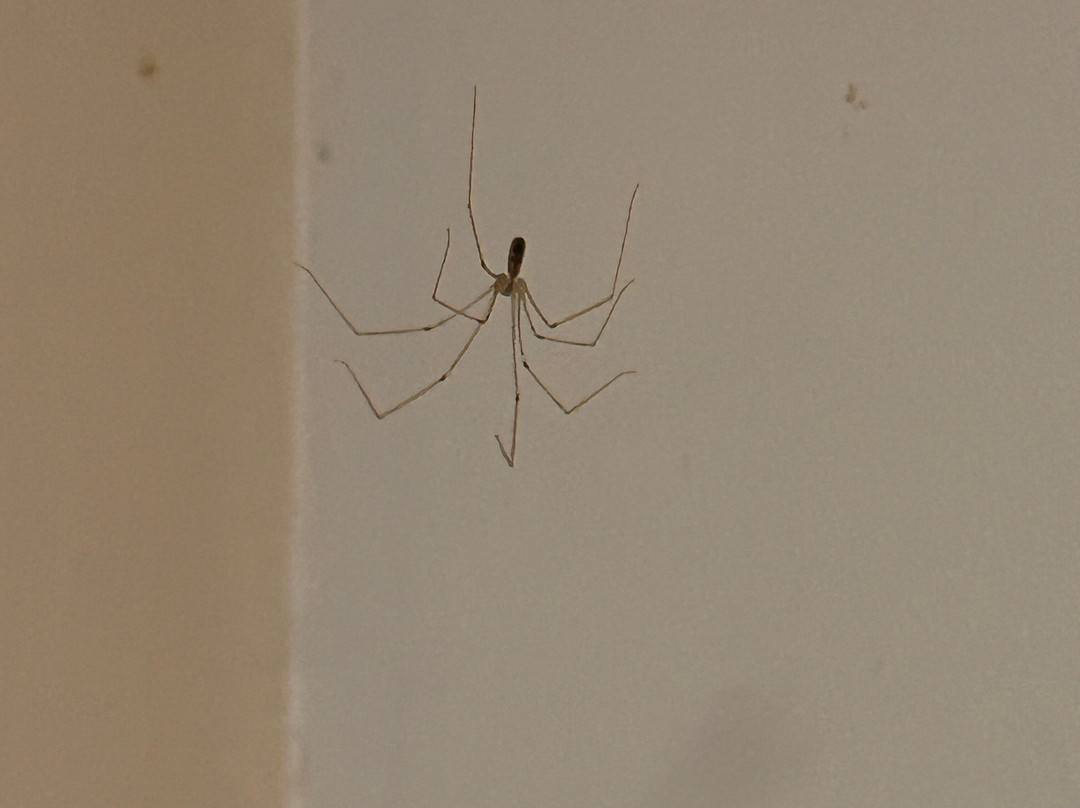 The Falls Motel主图