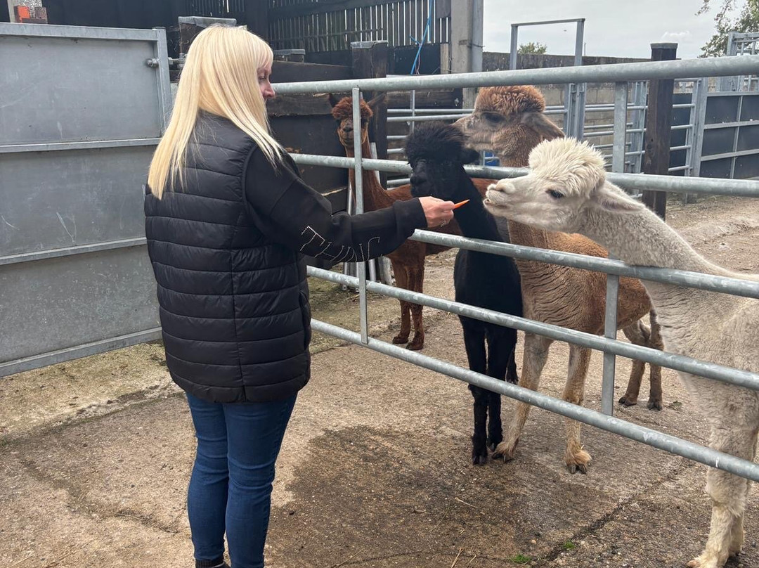 Botany Bay Farm-恩菲尔德必去景点