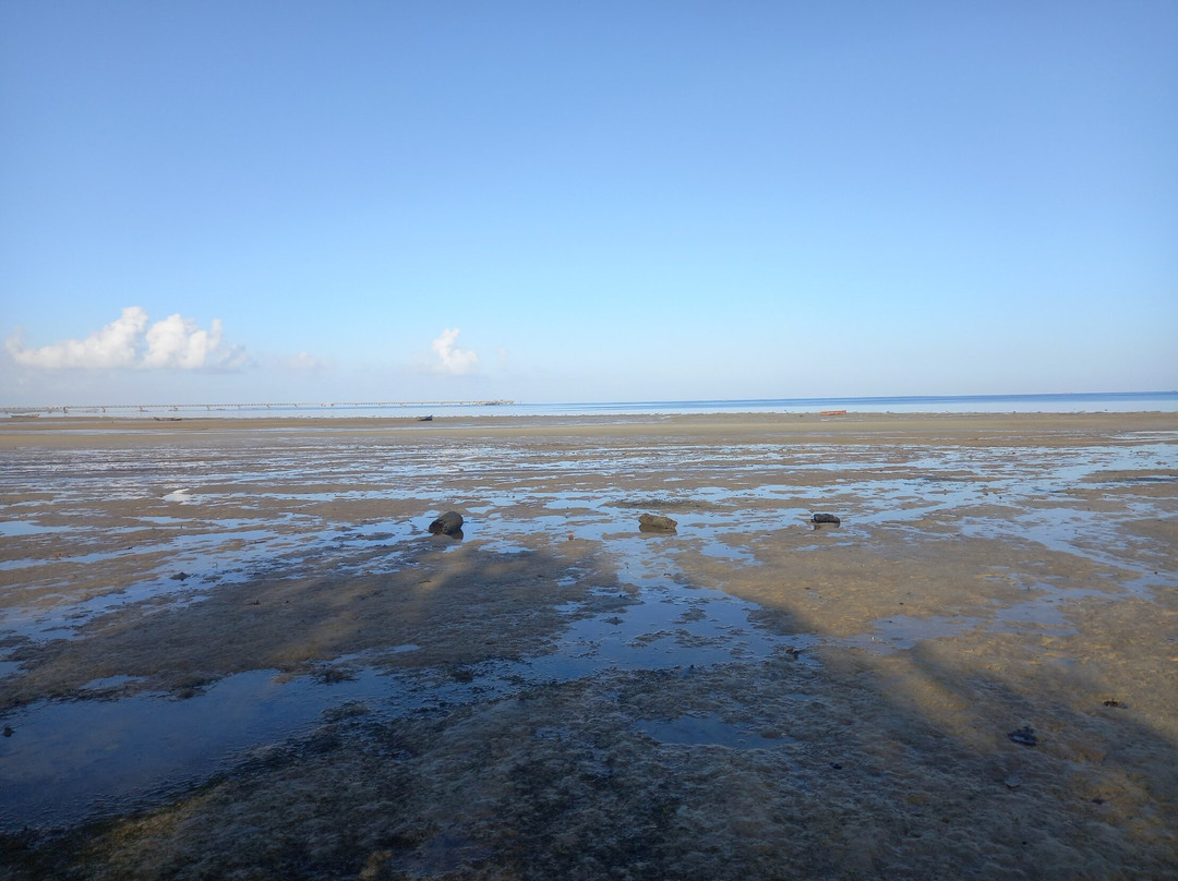 Kitu Kiblu: Responsible Marine Encounters-马菲亚岛必去景点