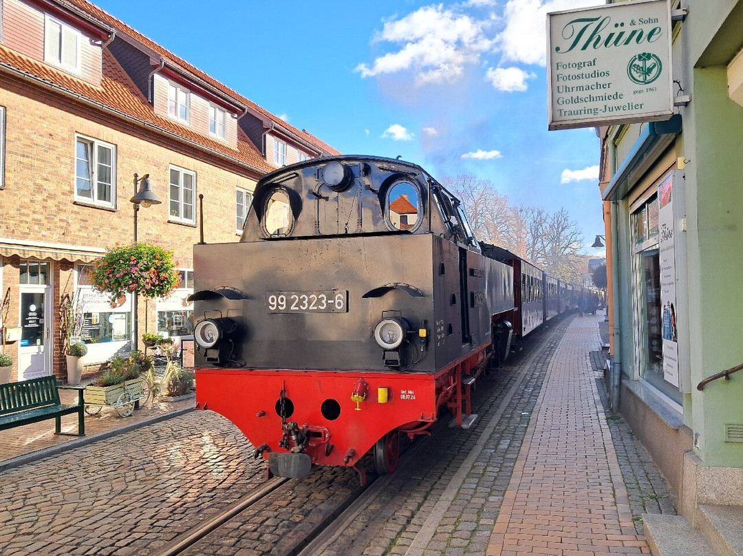 The Molli Steam Train-奥斯特西巴德库伦伯恩必去景点