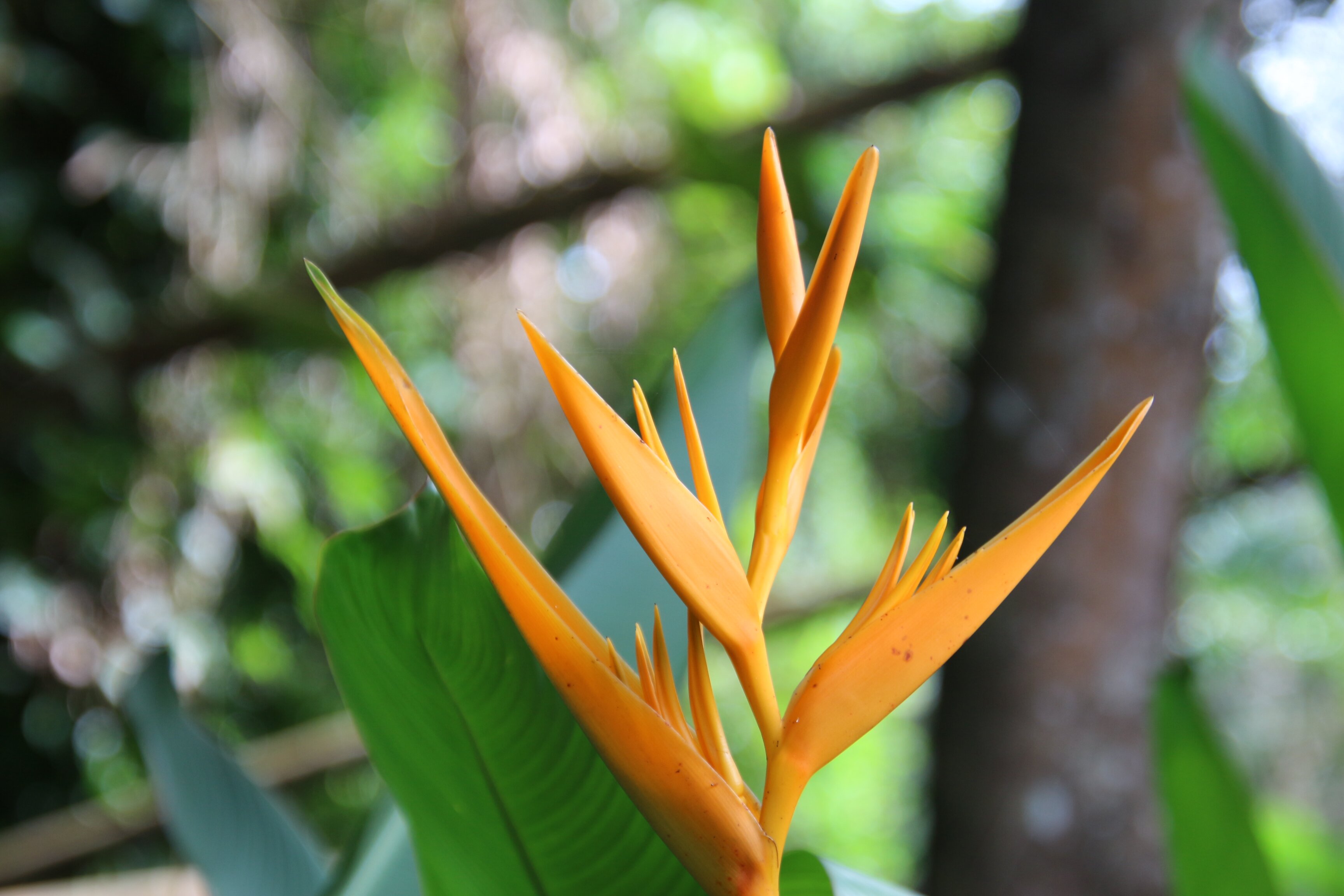 库玛拉孔泰姬陵维万塔酒店-浴室