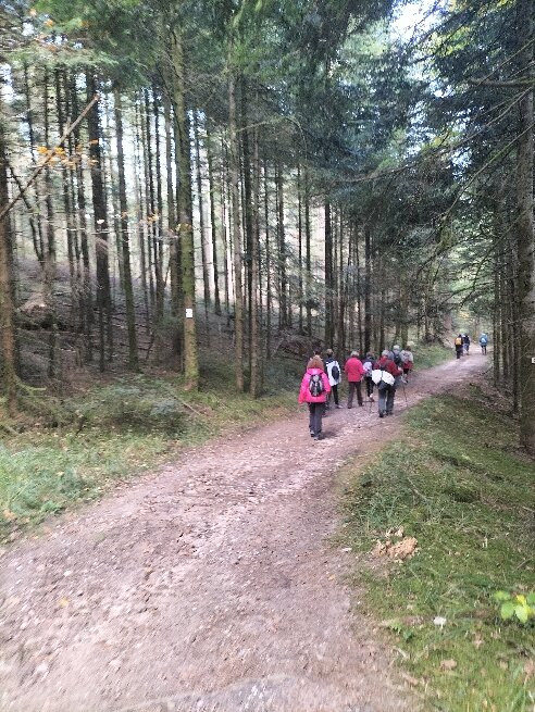 Village Cap France La Bolle - Vosges主图